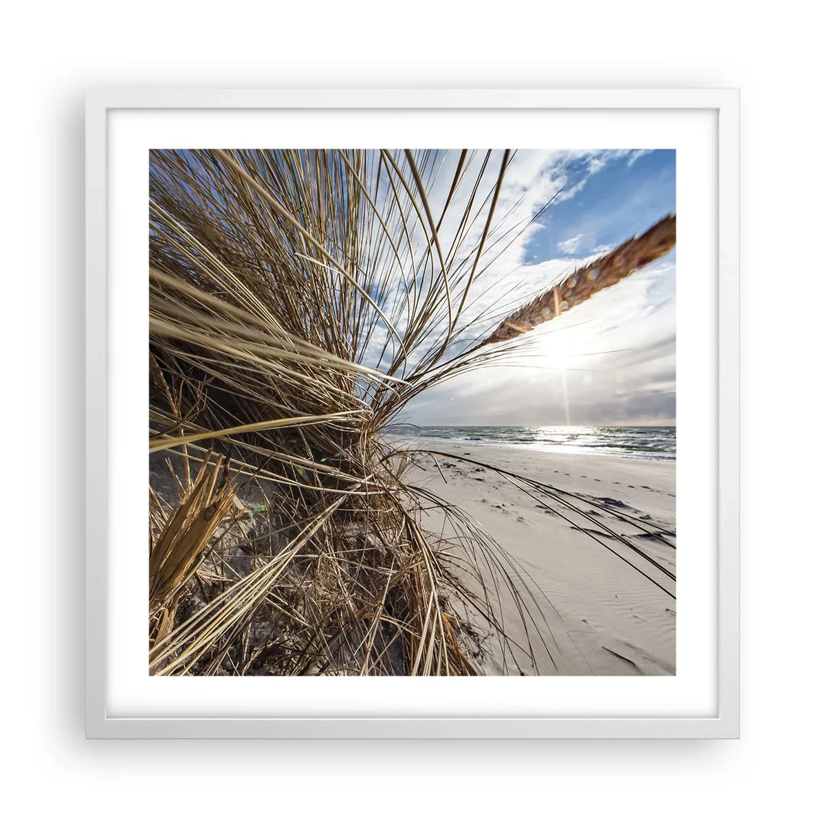 Poster in einem weißen Rahmen - Ein Treffen der Elemente der Natur - 50x50 cm