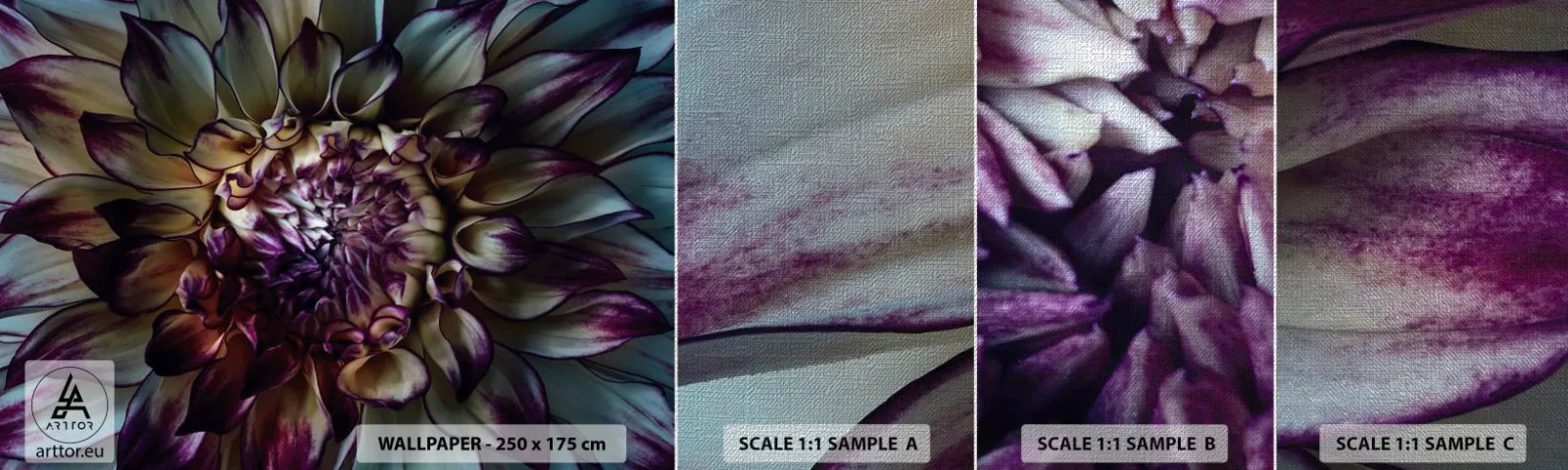 Fototapeten Muster Premium Canvas - Die Blütezeit der Jugend - Blumen, Dahlie, Blühende Blumen - 100x30 cm