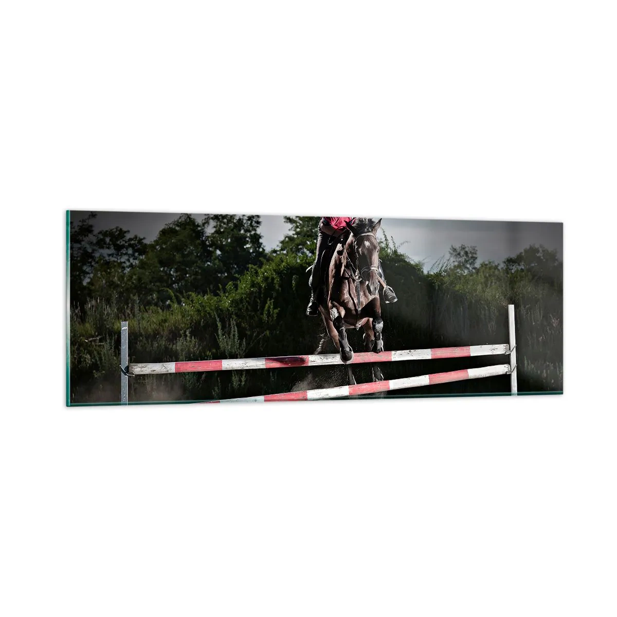 Glasbild - Bild auf glas - Gemeinsam zum Sieg - 90x30 cm
