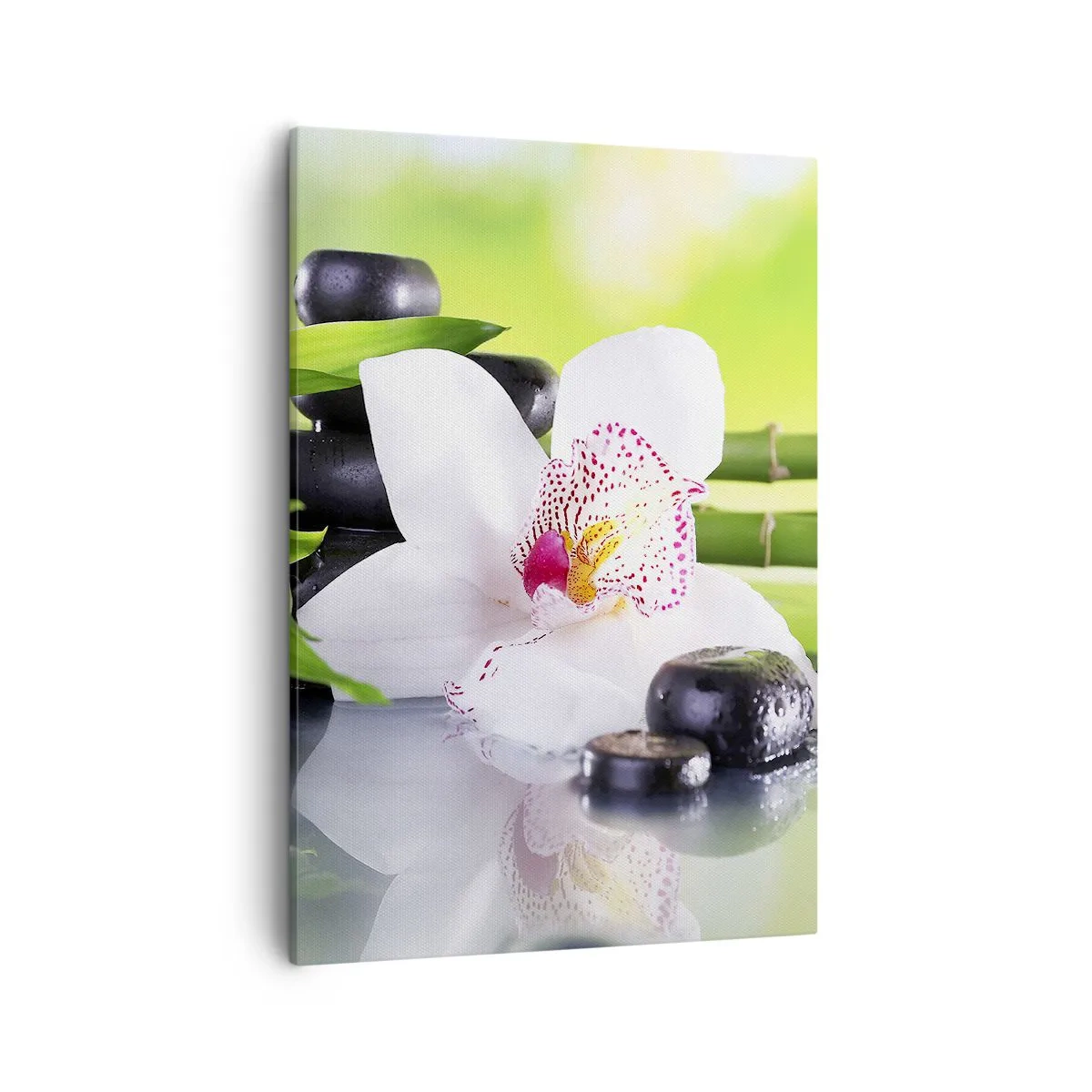 Bild auf Leinwand - Leinwandbild - Orchidee, Steine und Bambus in einer harmonischen Spa-Komposition - 50x70cm - Kühle Frische - Moderne Wanddekoration für Wohnzimmer und Schlafzimmer ARTTOR