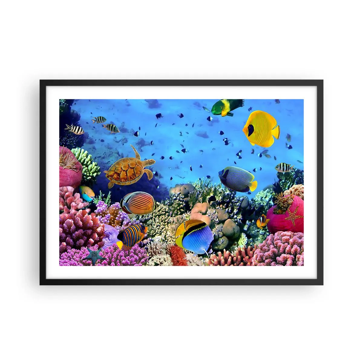 Poster in einem schwarzem Rahmen - Korallenriff mit bunten Fischen und einer Meeresschildkröte - 70x50cm - Und was wissen wir über das Leben ... - Moderne Wanddekoration für Wohnzimmer und Schlafzimmer ARTTOR