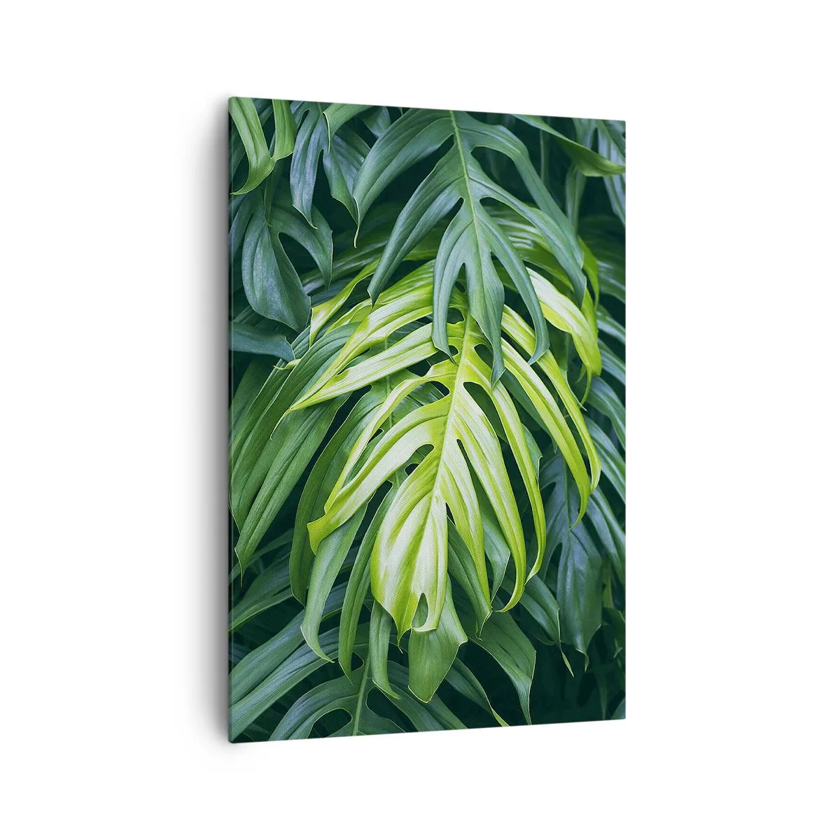 Bild auf Leinwand - Leinwandbild - Grüne Blätter in einem dichten tropischen Arrangement - 70x100cm - Tauchen Sie ein in die Frische - Moderne Wanddekoration für Wohnzimmer und Schlafzimmer ARTTOR