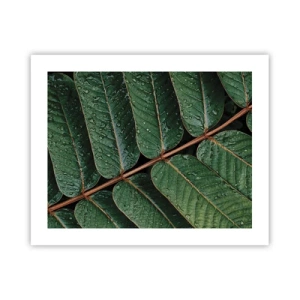 Poster - Im grünen Rhythmus - 50x40 cm