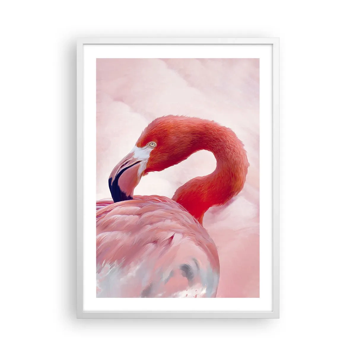 Poster in einem weißen Rahmen - Vogel Schönheit - 50x70 cm