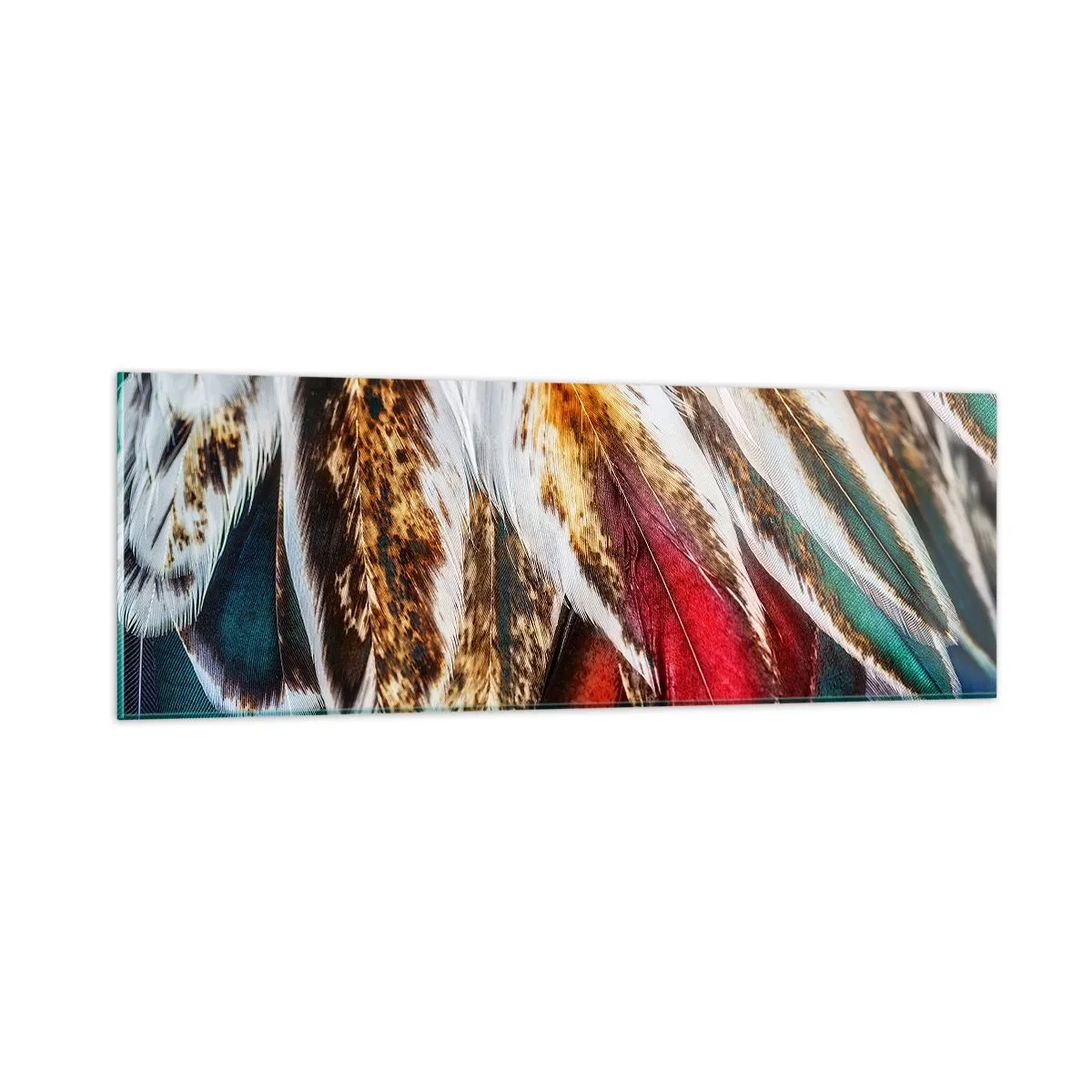 Glasbild - Bild auf glas - Geheimnisse des Fliegens - 90x30 cm