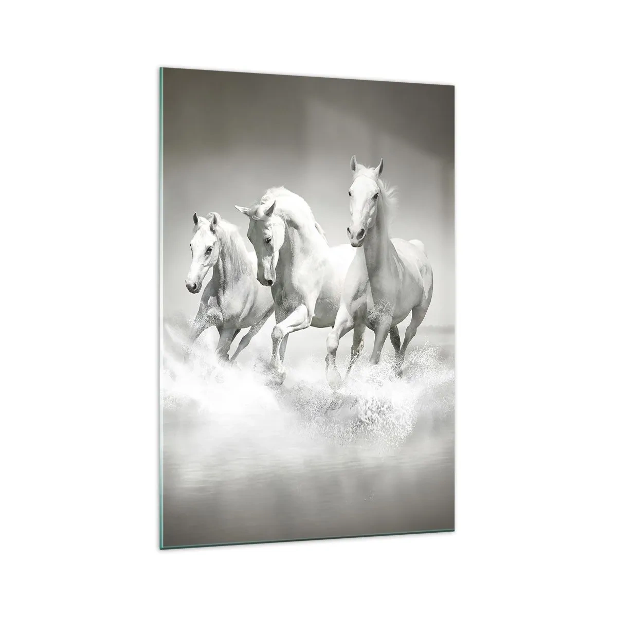 Glasbild - Bild auf glas - Drei weiße Pferde galoppieren durch das Wasser - 70x100cm - Weißer Wahnsinn - Moderne Wanddekoration für Wohnzimmer und Schlafzimmer ARTTOR