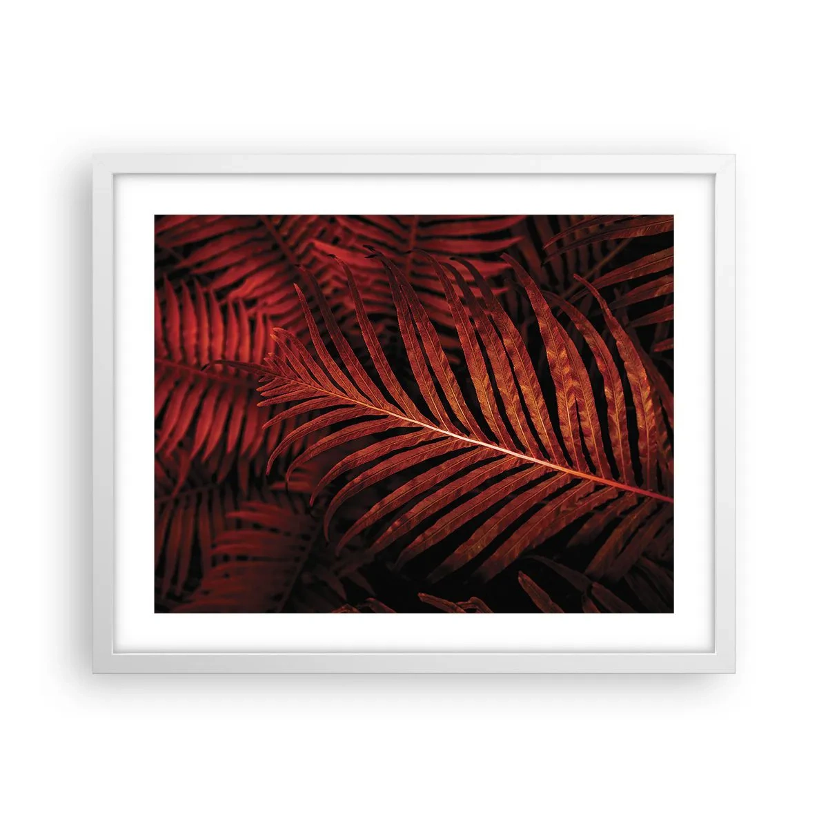 Poster in einem weißen Rahmen - Die Hitze des Lebens - 50x40 cm