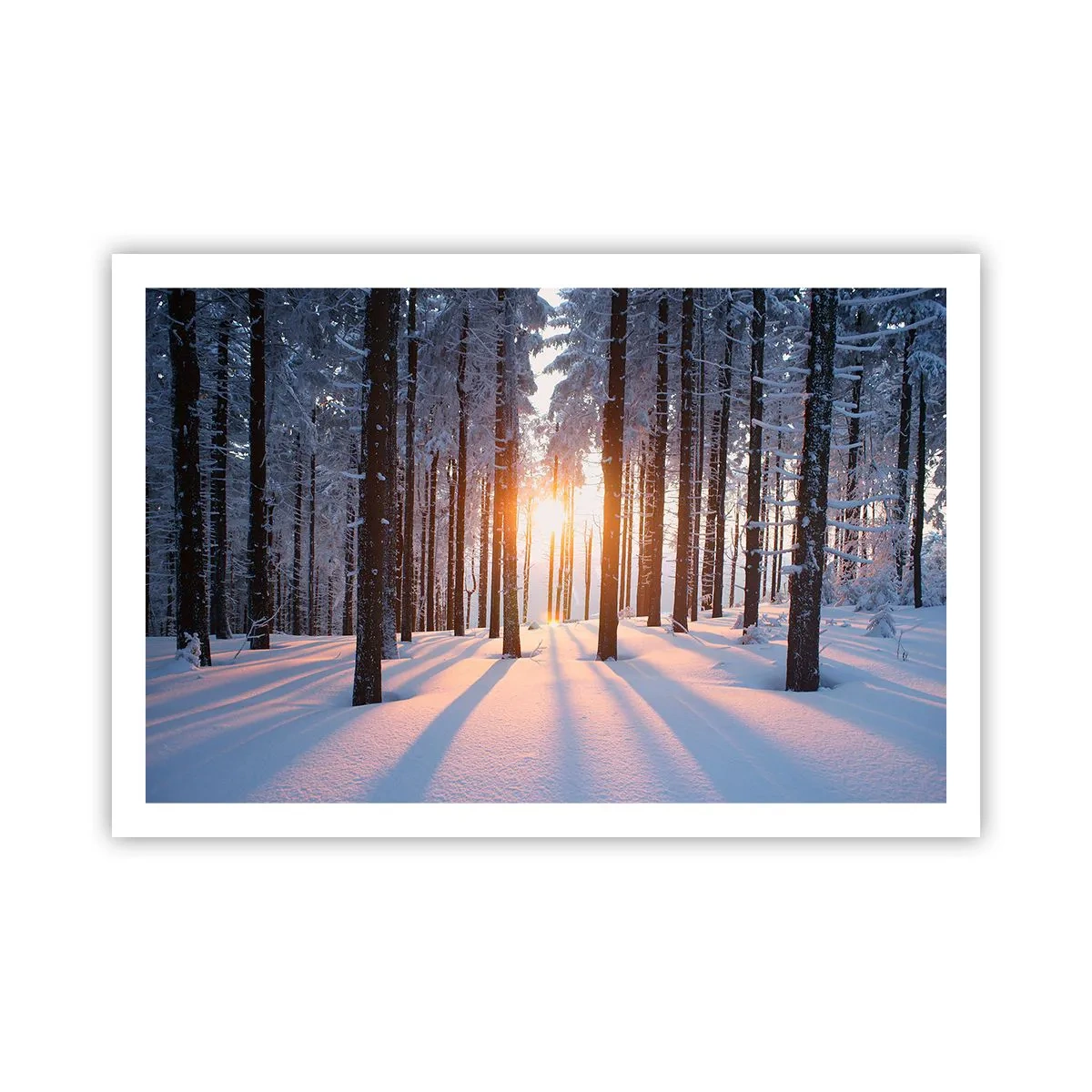 Poster - Ganz klar schwarz auf weiß - 91x61 cm