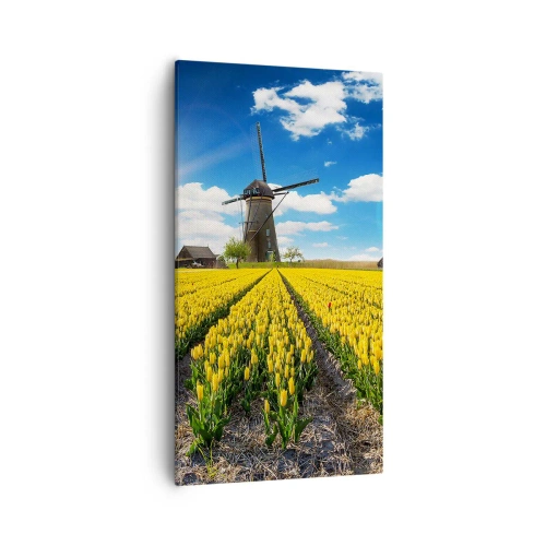 Bild auf Leinwand - Leinwandbild - Holländischer geht's nicht - 55x100 cm