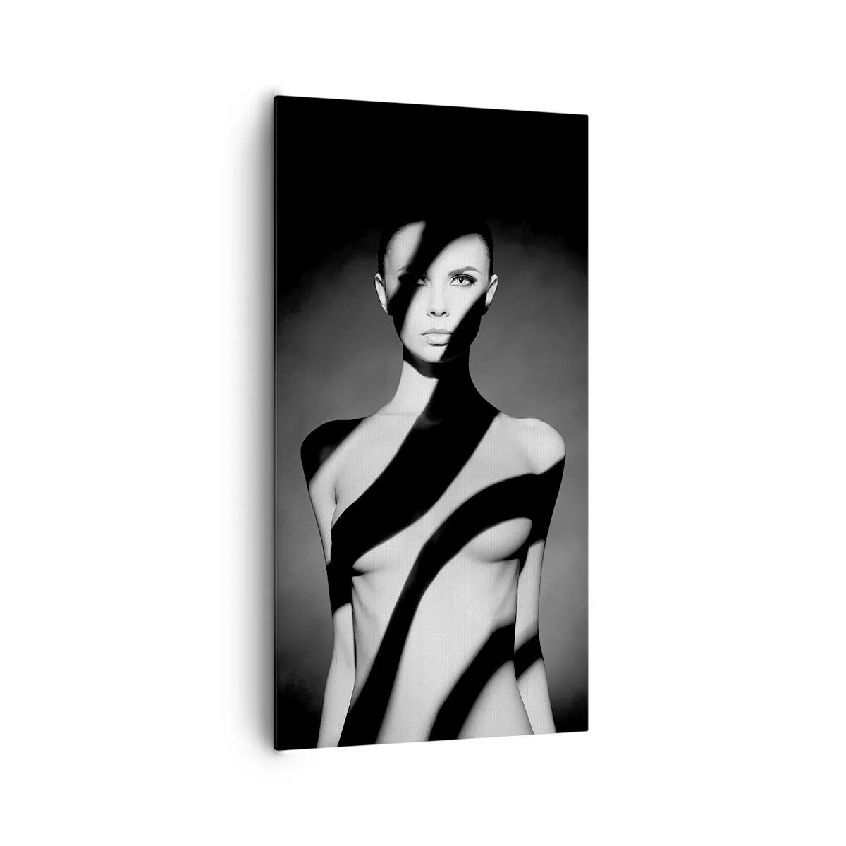 Bild auf Leinwand - Leinwandbild - In Glanz und Schatten - 65x120 cm