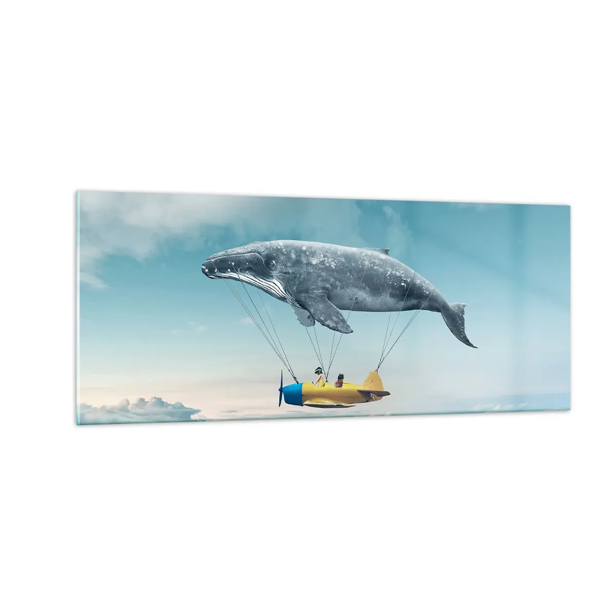 Glasbild - Bild auf glas - Warum nicht? - 100x40 cm