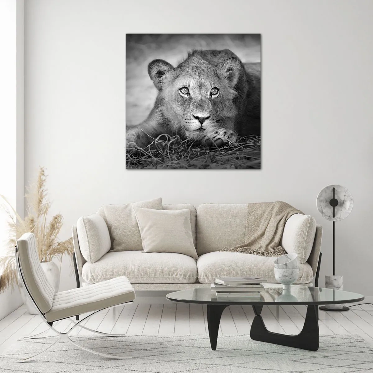 Glasbild - Bild auf glas - Königlicher Welpe - 40x40 cm