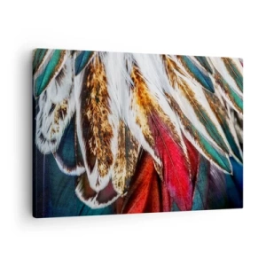 Bild auf Leinwand - Leinwandbild - Nahaufnahme von mehrfarbigen Federn in leuchtenden, intensiven Farben - 70x50cm - Geheimnisse des Fliegens - Moderne Wanddekoration für Wohnzimmer und Schlafzimmer ARTTOR