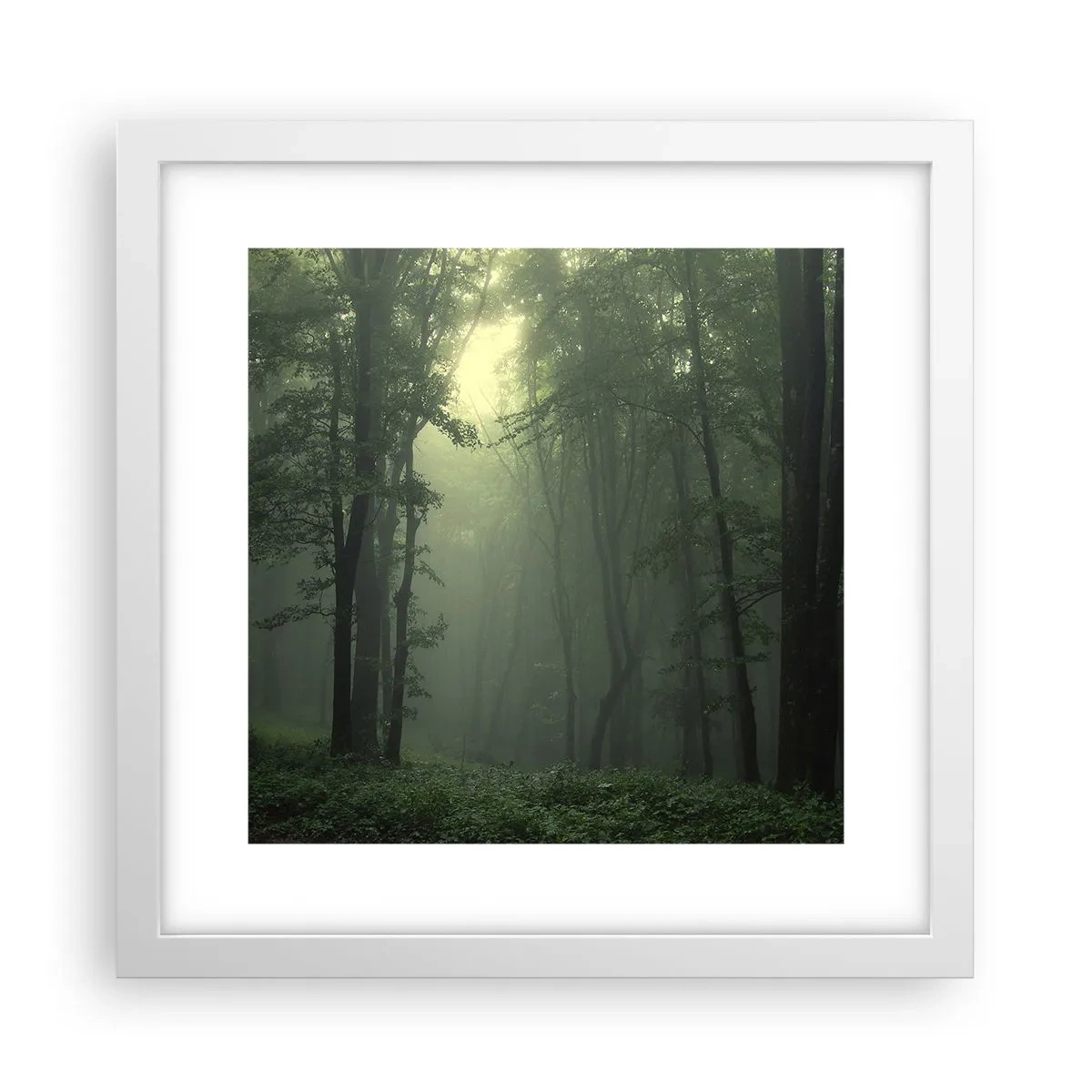 Poster in einem weißen Rahmen - Bevor er aufwacht - 30x30 cm