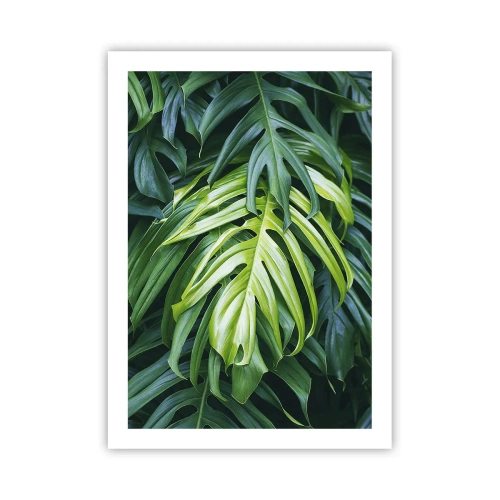Poster - Nahaufnahme der grünen Monstera-Blätter - 50x70cm - Tauchen Sie ein in die Frische - Moderne Wanddekoration für Wohnzimmer und Schlafzimmer ARTTOR
