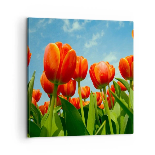 Bild auf Leinwand - Leinwandbild - Außer dem blauen Himmel brauchen sie nichts in ihrem Leben - 60x60 cm