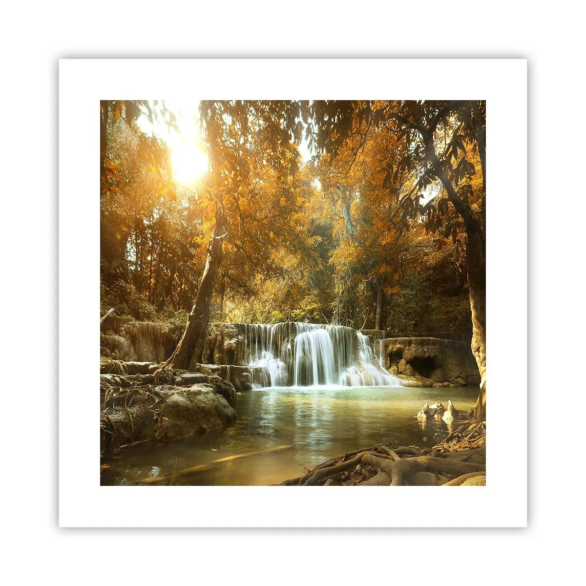 Poster - Parkkaskade - 40x40 cm