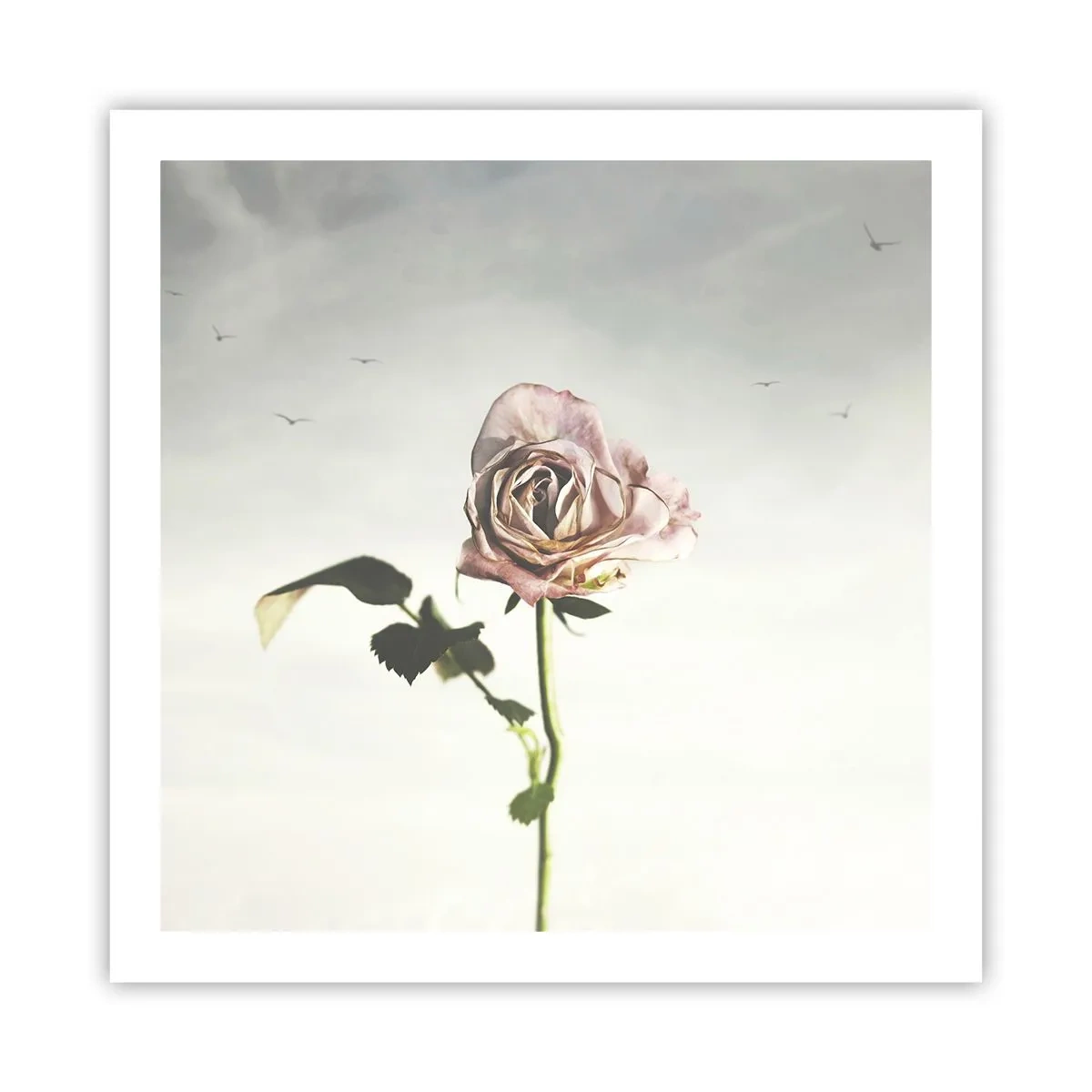 Poster - Begrüßung des Frühlings - 60x60 cm