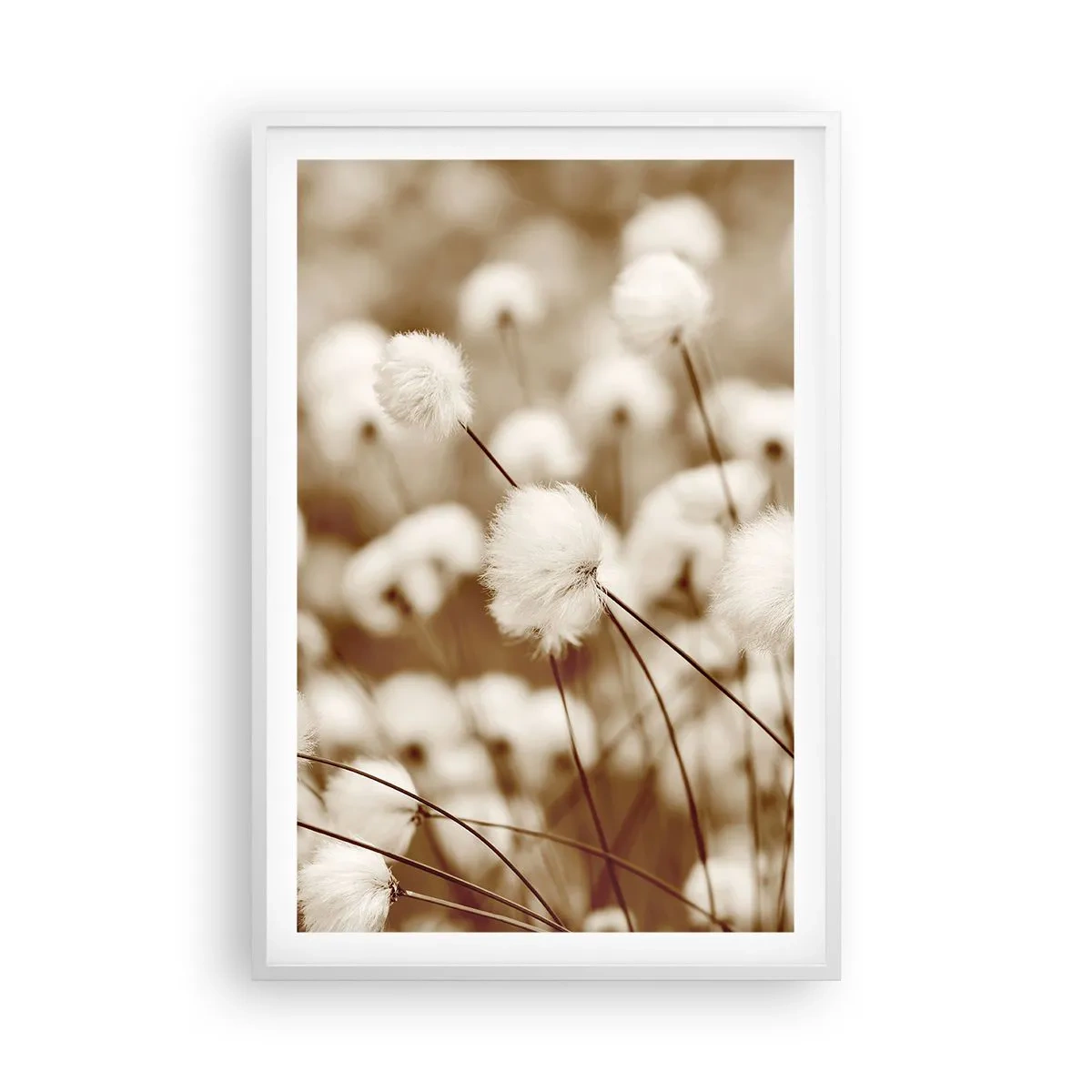 Poster in einem weißen Rahmen - Flauschiges Kornfeld - 61x91 cm