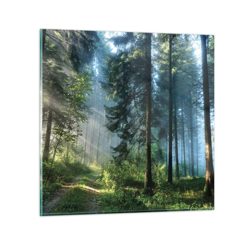 Glasbild - Bild auf glas - Strahlend am Morgen - 50x50 cm