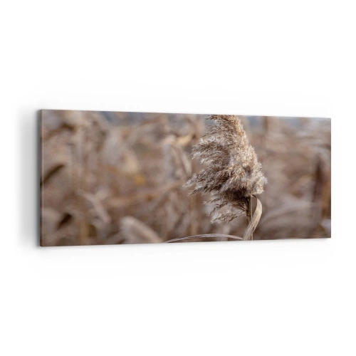 Bild auf Leinwand - Leinwandbild - Zarte Gräser in Beigetönen vor dem Hintergrund der Natur - 120x50cm - Zeit, mit dem Wind zu gehen - Moderne Wanddekoration für Wohnzimmer und Schlafzimmer ARTTOR
