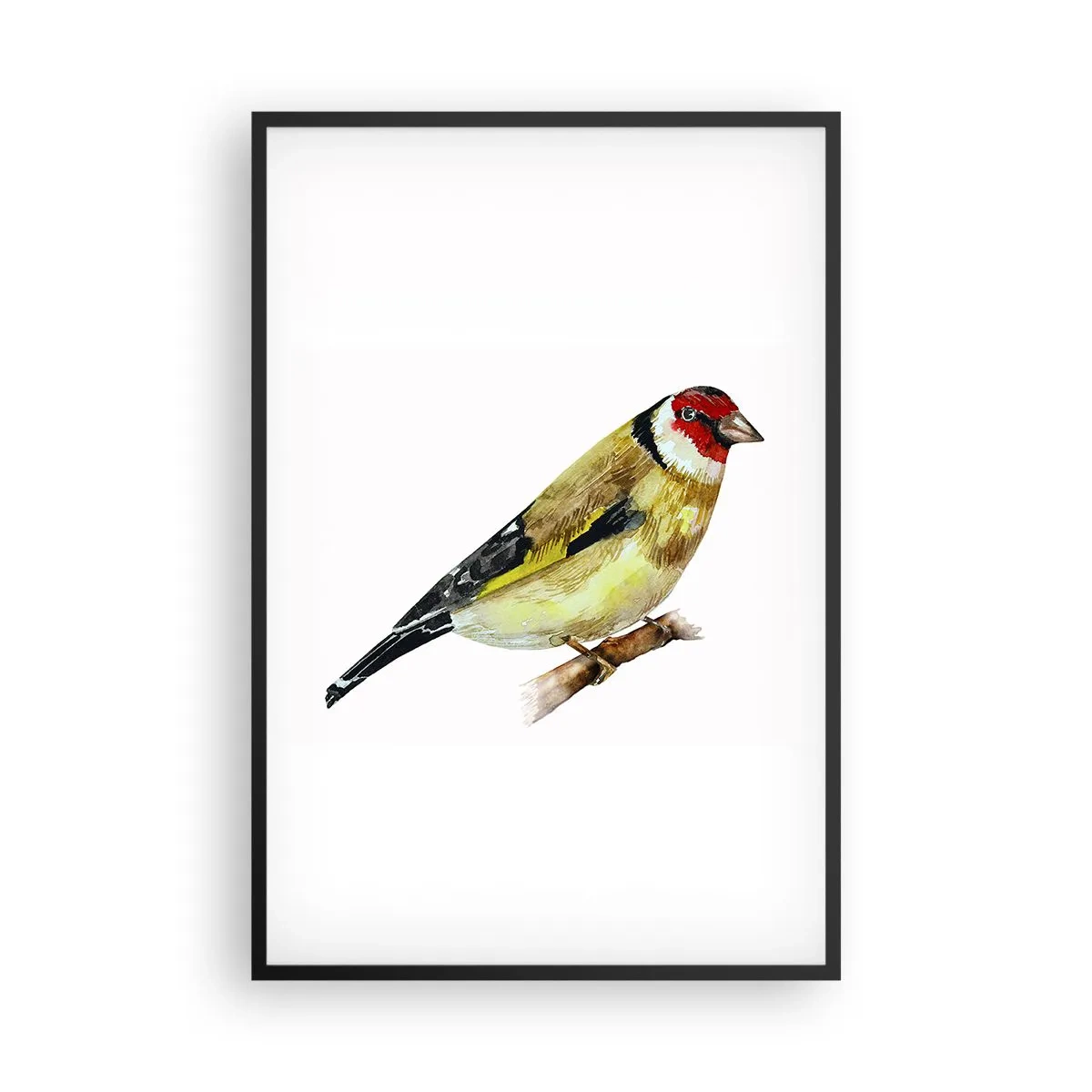 Poster in einem schwarzem Rahmen - Vogelporträt - 61x91 cm