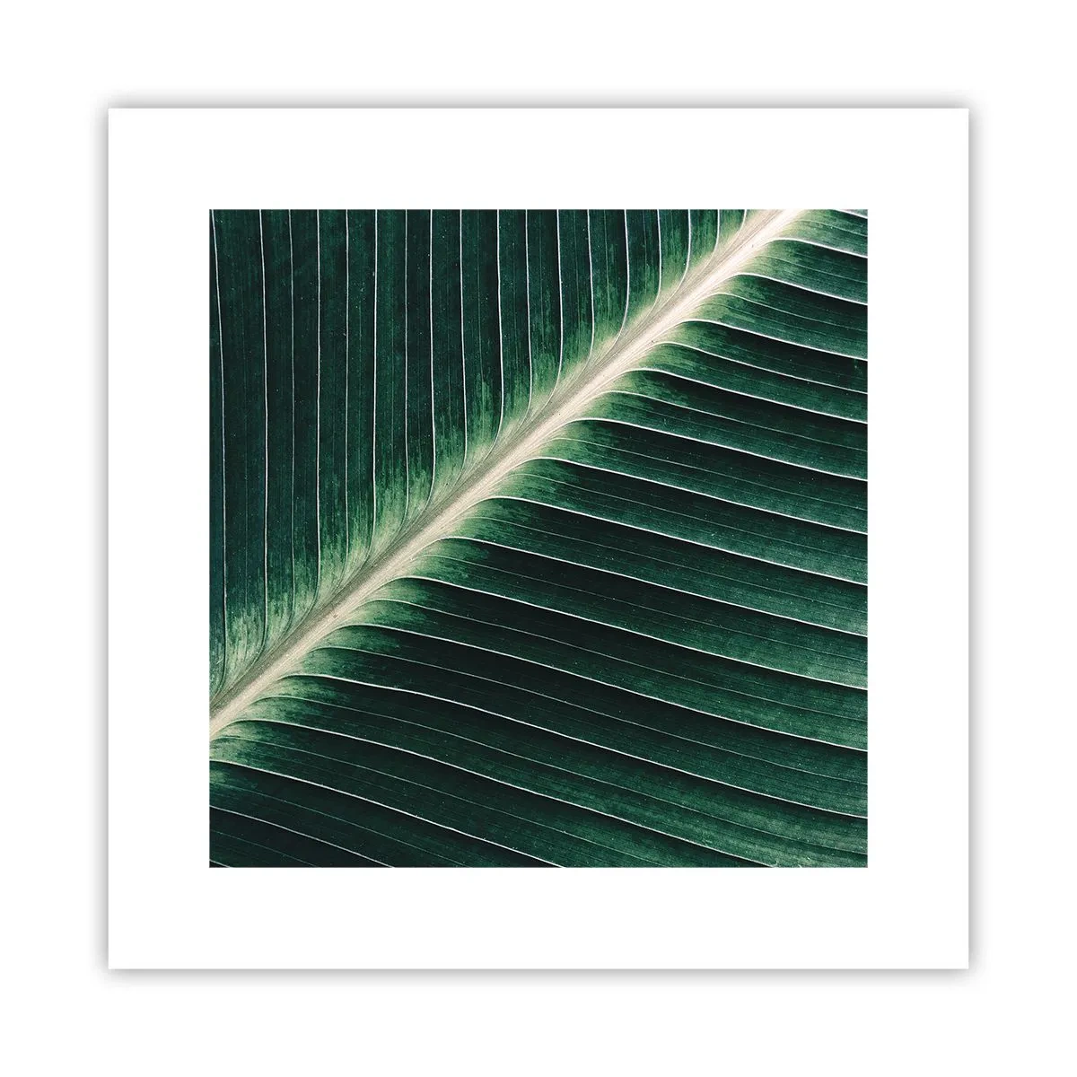 Poster - Rhythmus der Natur - 30x30 cm