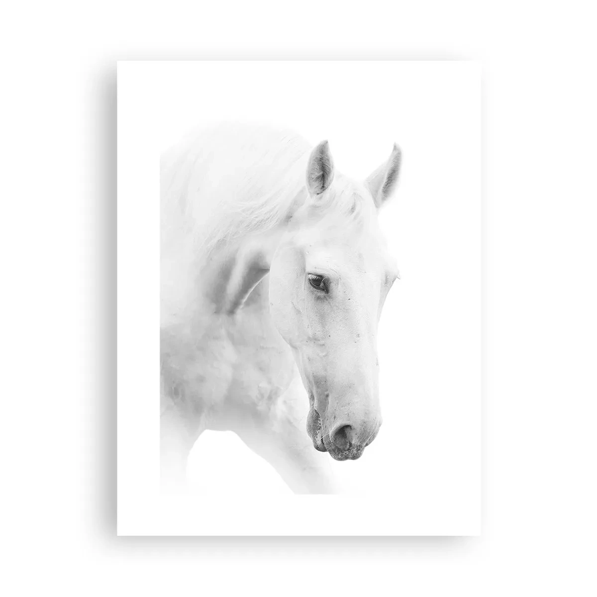 Poster - Ist das Freundschaft...? - 30x40 cm