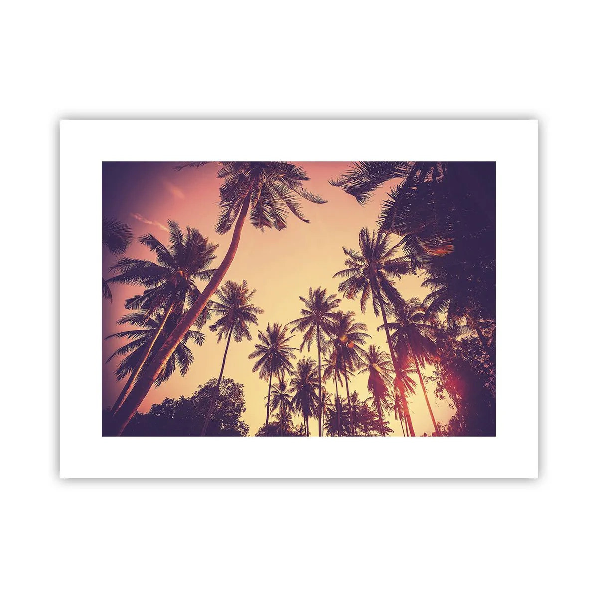 Poster - Tropische Variante - 40x30 cm
