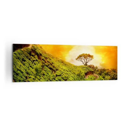 Bild auf Leinwand - Leinwandbild - Grüne Hügel mit Teeplantagen bei Sonnenuntergang - 160x50cm - Ein gewundener Weg, ein grüner Hang - Moderne Wanddekoration für Wohnzimmer und Schlafzimmer ARTTOR