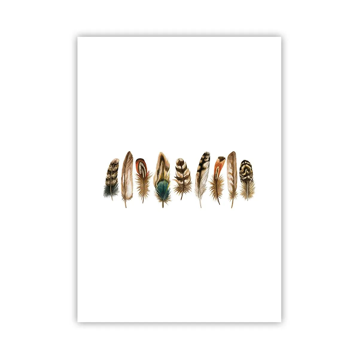 Poster - Bunte Federn in einer Reihe - 50x70cm - Eine federleichte Variante - Moderne Wanddekoration für Wohnzimmer und Schlafzimmer ARTTOR