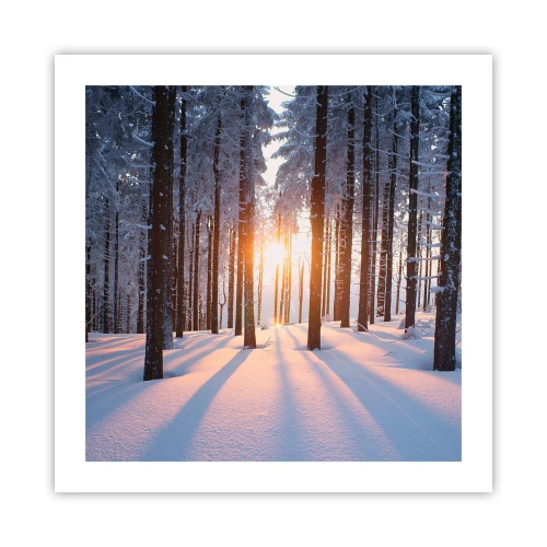 Poster - Ganz klar schwarz auf weiß - 50x50 cm