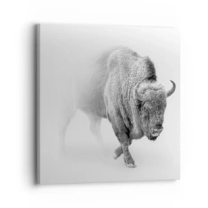 Bild auf Leinwand - Leinwandbild - König der Prärie - 30x30 cm