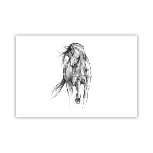 Poster - Im anmutigen Trab - 91x61 cm