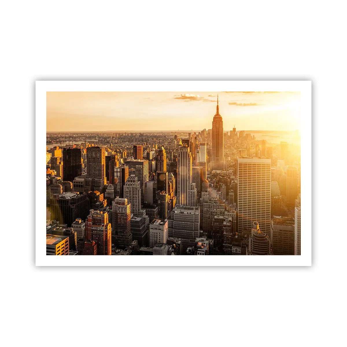 Poster - In der Sonne wachsen - 91x61 cm