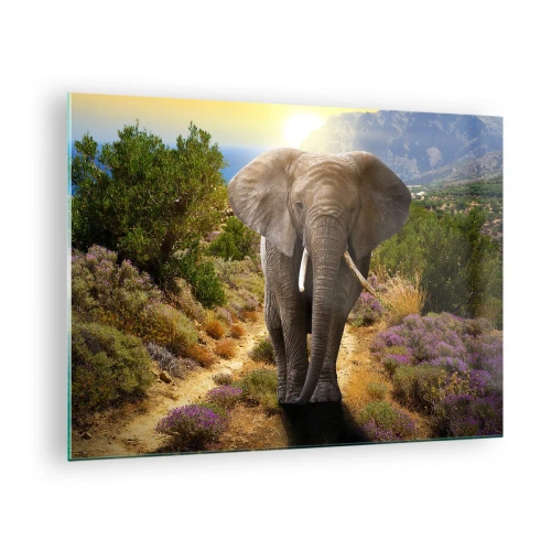 Glasbild - Bild auf glas - Ein Elefant vor einer Berglandschaft bei Sonnenuntergang - 70x50cm - So sah Eden aus - Moderne Wanddekoration für Wohnzimmer und Schlafzimmer ARTTOR