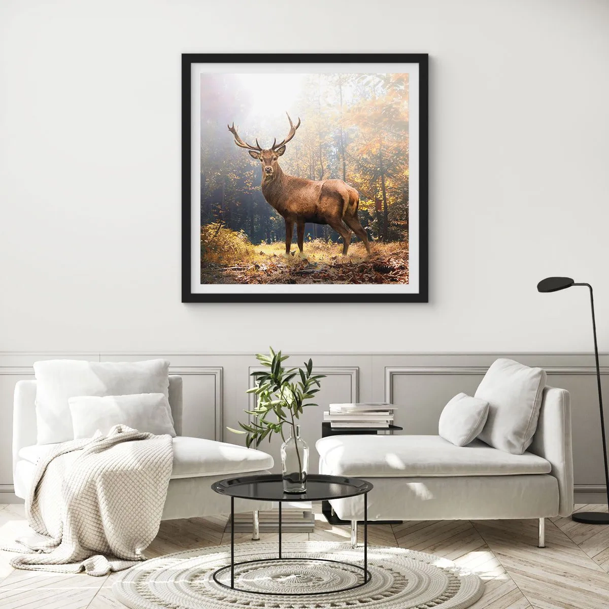 Poster in einem schwarzem Rahmen - In voller Majestät - 30x30 cm