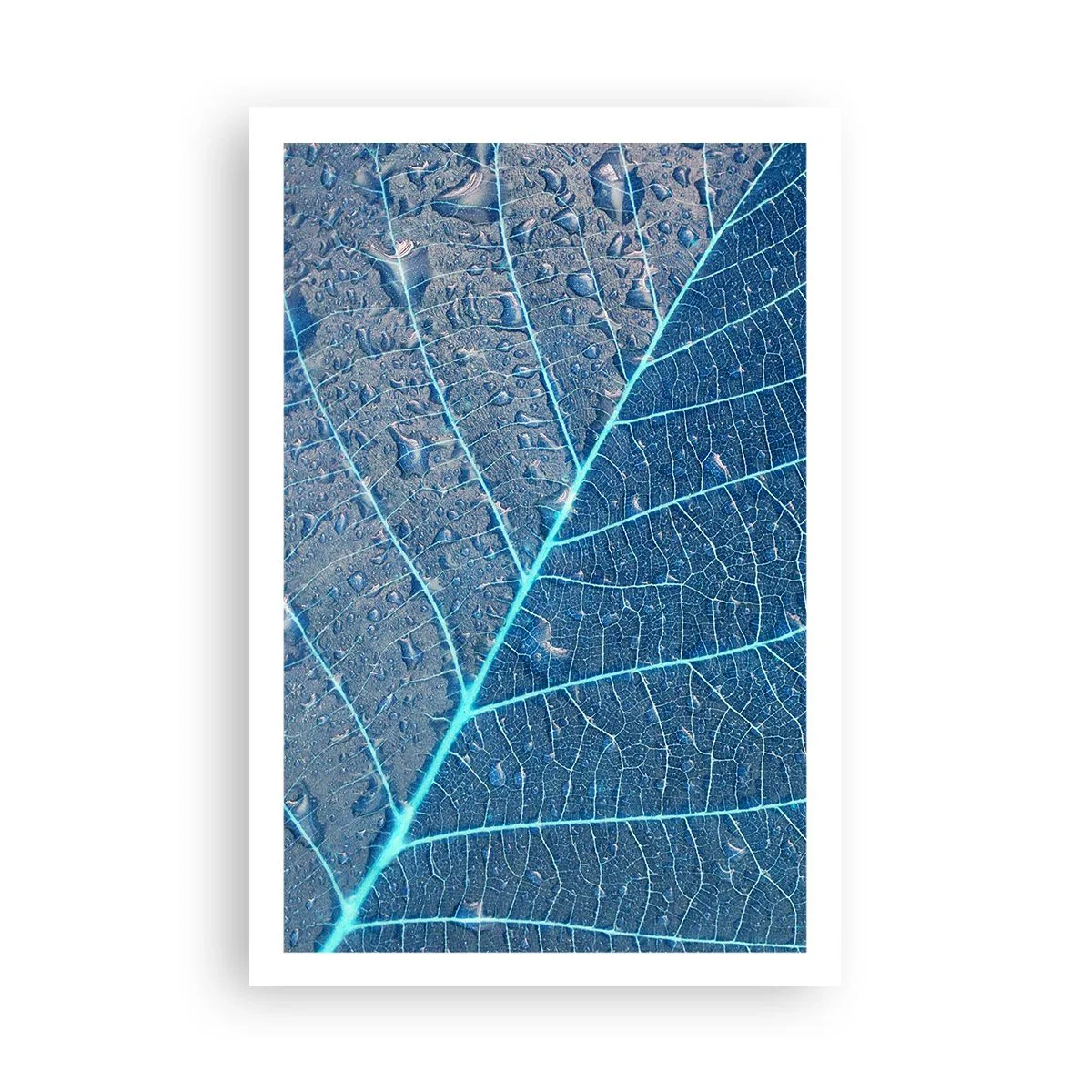 Poster - Leben in Blau - 61x91 cm