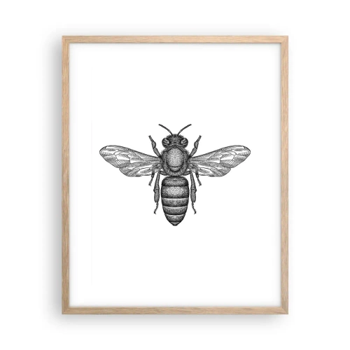 Poster in einem Rahmen aus heller Eiche - Insektenporträt - 40x50 cm