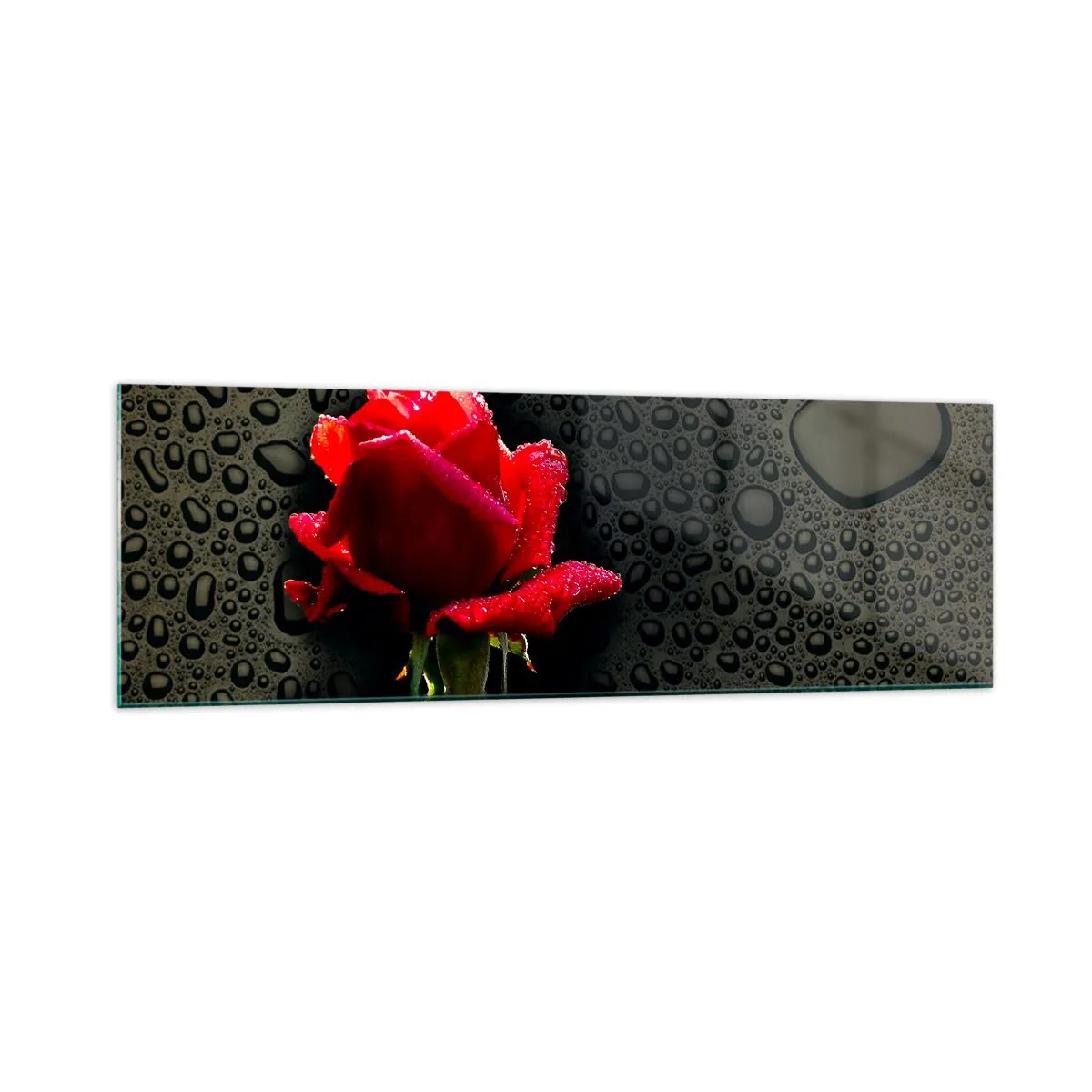 Glasbild - Bild auf glas - Rote Rose mit Wassertropfen auf dunklem Hintergrund - 160x50cm - rot und Schwarz - Moderne Wanddekoration für Wohnzimmer und Schlafzimmer ARTTOR