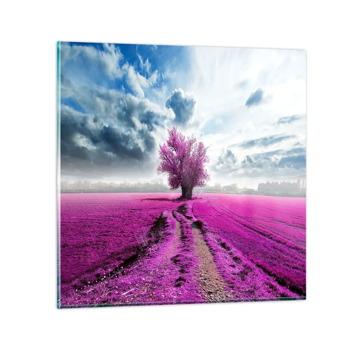 Glasbild - Bild auf glas - Heide - Wildnis - 60x60 cm