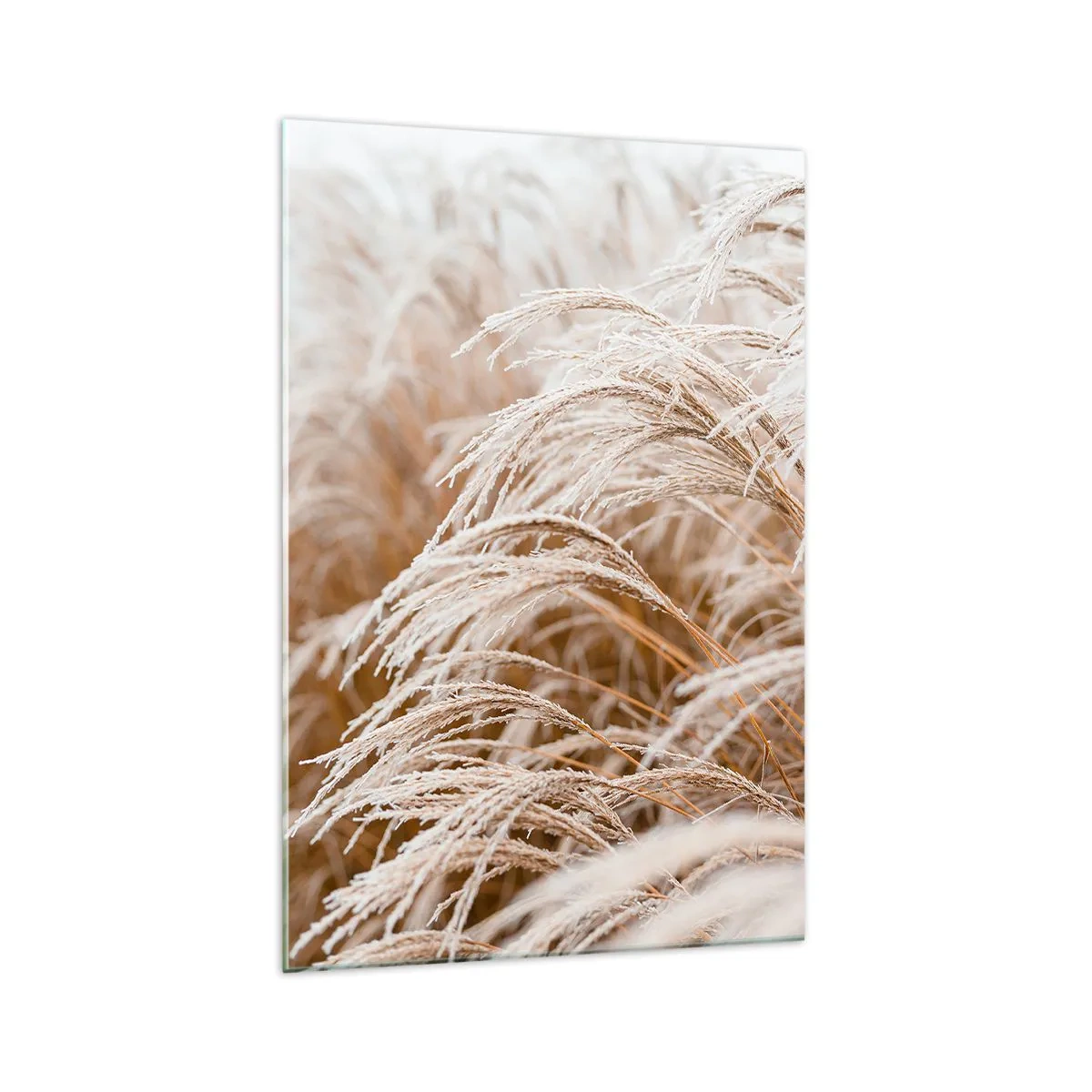 Glasbild - Bild auf glas - Verbeuge dich vor der Herbstsonne - 70x100 cm