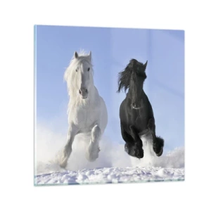 Glasbild - Bild auf glas - Schwarz-Weiß-Galopp - 40x40 cm