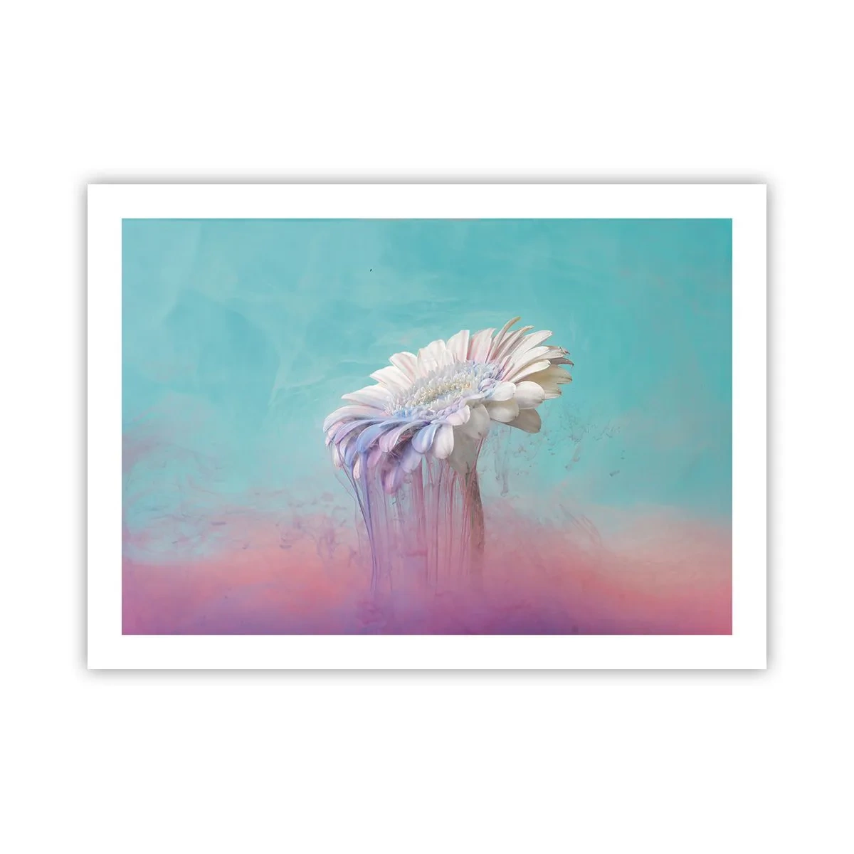 Poster - Blumenunterwelt - 70x50 cm