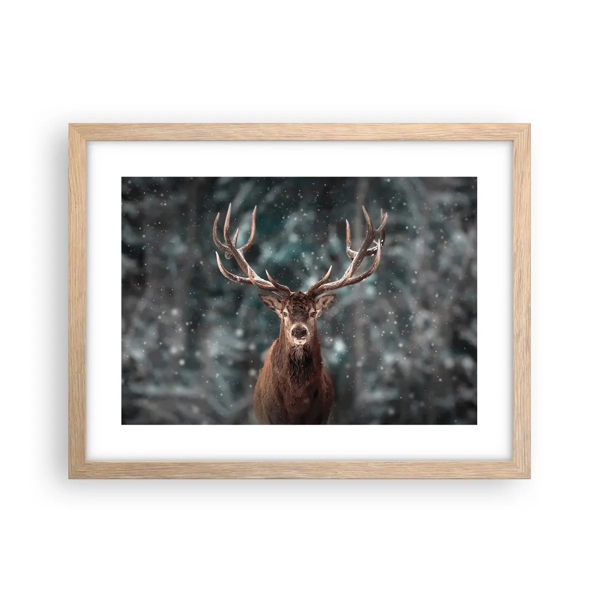 Poster in einem Rahmen aus heller Eiche - Gekrönter König des Waldes - 40x30 cm