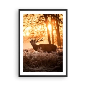 Poster in einem schwarzem Rahmen - Hirsch in den Strahlen der aufgehenden Sonne vor dem Hintergrund des Waldes - 50x70cm - Der Traum eines Jägers - Moderne Wanddekoration für Wohnzimmer und Schlafzimmer ARTTOR