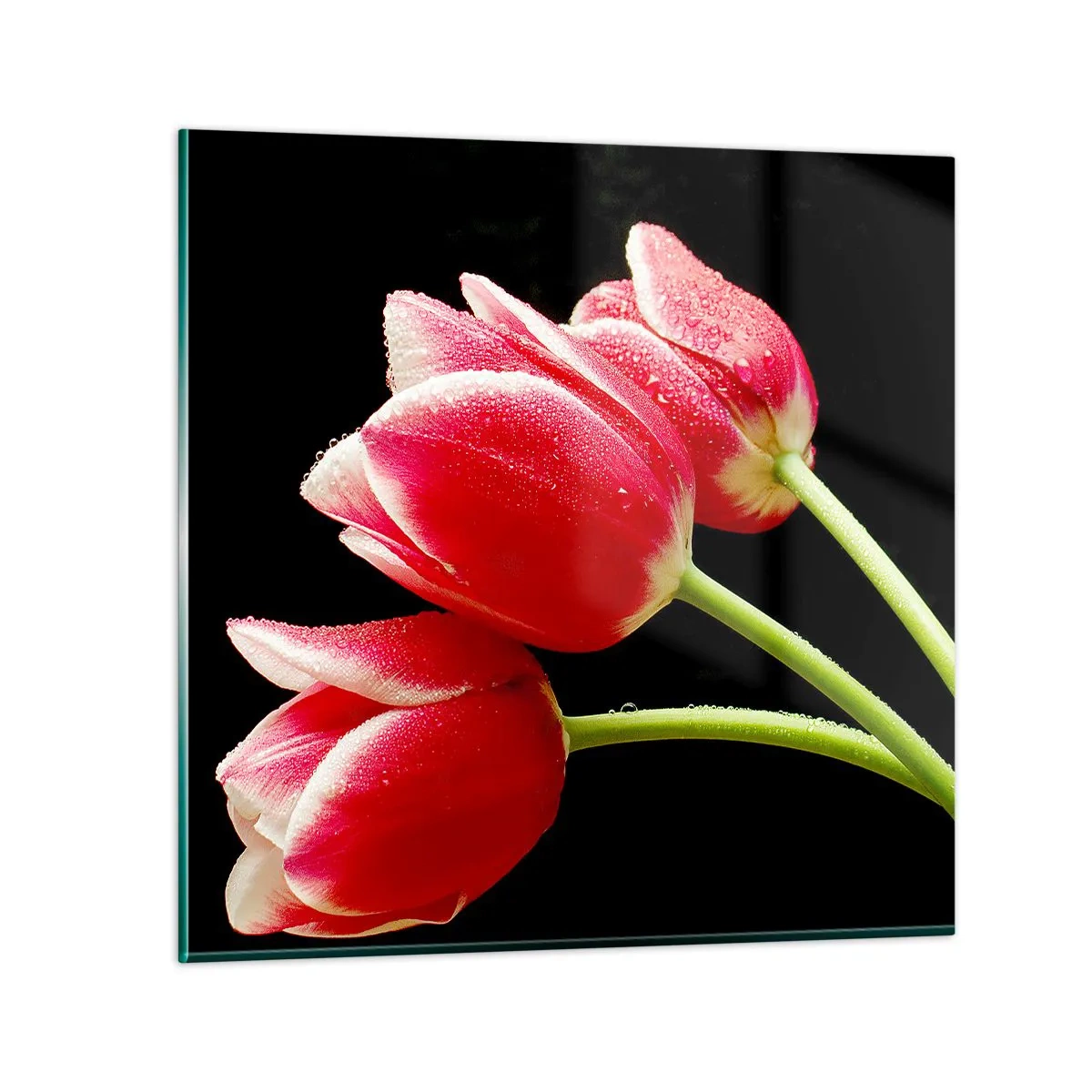 Glasbild - Bild auf glas - Ein Versprechen der reinen Liebe - 50x50 cm