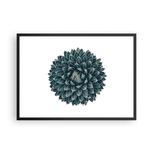 Poster in einem schwarzem Rahmen - Symmetrische Sukkulente auf weißem Hintergrund - 70x50cm - Stern der Wüste - Moderne Wanddekoration für Wohnzimmer und Schlafzimmer ARTTOR