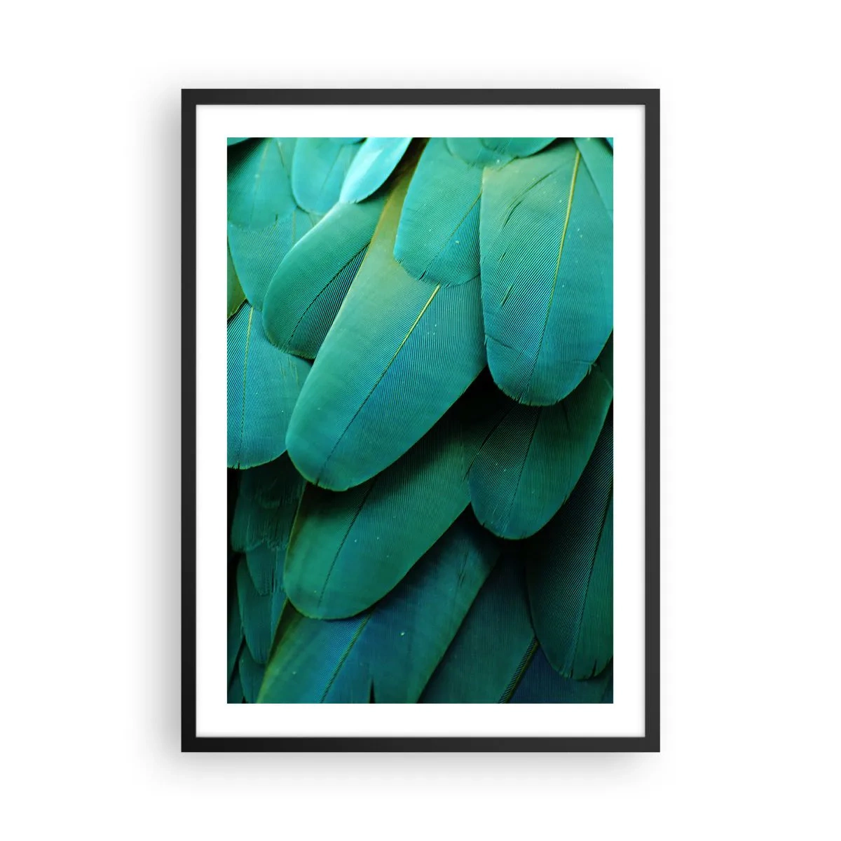 Poster in einem schwarzem Rahmen - Nahaufnahme der grünen Federn eines exotischen Vogels - 50x70cm - Papageienartige Präzision - Moderne Wanddekoration für Wohnzimmer und Schlafzimmer ARTTOR