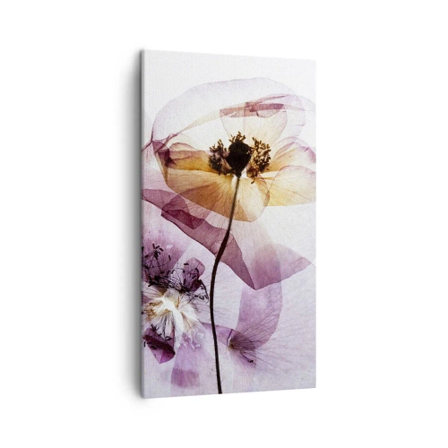 Bild auf Leinwand - Leinwandbild - Transparente Körperblumen - 45x80 cm